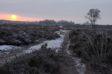 























































A snow landscape during the sunrise.	
