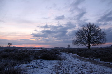 Fototapeta na wymiar A snow landscape during the sunrise.