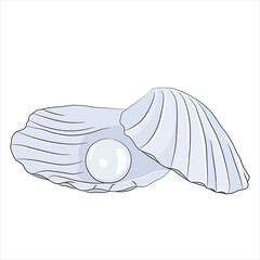 Shell with blue pearl