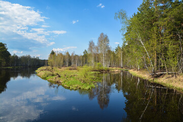 Fototapeta na wymiar Spring in the Meshchersky national Park in the Ryazan region.