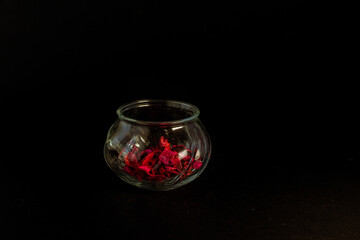 red flowers in a glass vase on black background