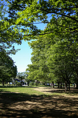 公園