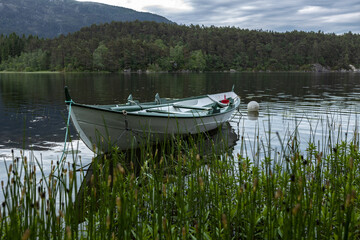  White wooden row-boat on a lake with reeds in the foreground © Tobben-PHOTO