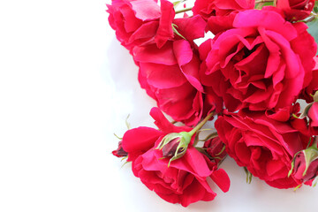Bouquet of red roses in the corner on white background. Congratulations on Valentine's Day, Mother's Day, Women's Day, Birthday concept. Selective focus. Copy space
