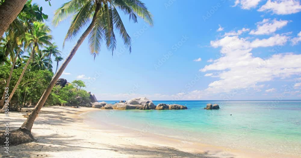 Poster beach and coconut palm trees. koh tao, thailand