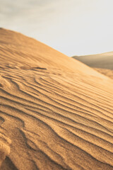 sand dunes in the sahara desert