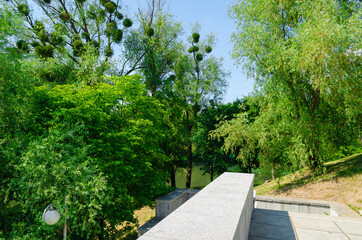 footpath in the park