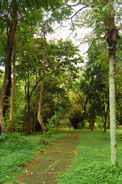 Outdoor Garden Pathway At University Of The Philippines In Diliman, Quezon City, Philippines