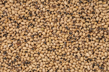 Black Eye Beans. Legumes background.