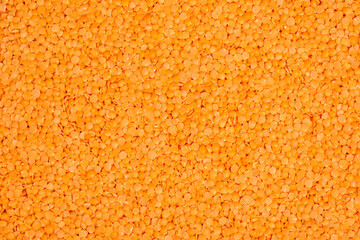 Orange lentils. Legumes background.