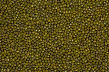 Mung bean. Legumes background.