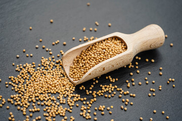 Senfkörner - granum sinapis © Steidi