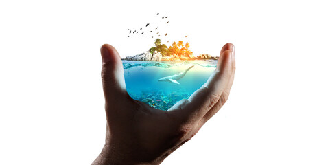 the sea and the landscape in your hand