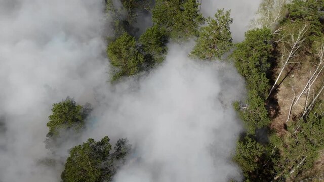 Top view of an invincible forest fire