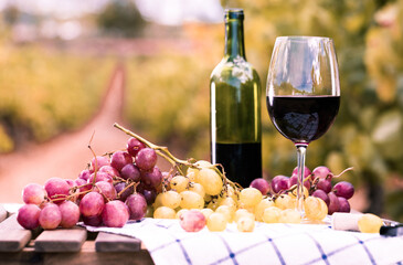 still life with glass of red wine and grapes