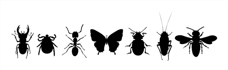 Collection of vector silhouette of animals on white background. Symbol of nature and insect.