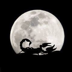 Vector silhouette of scorpion on moon background. Symbol of night. - obrazy, fototapety, plakaty