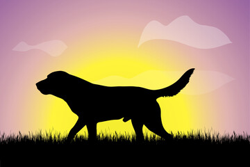 Vector silhouette of dog walking in the grass at sunset. Symbol of nature.