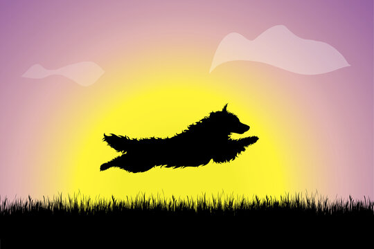 Vector silhouette of dog jumping in the grass at sunset. Symbol of nature.