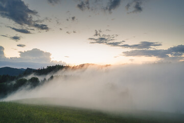 Obraz na płótnie Canvas Ausblick auf in Nebel gehüllten Wald mit Wiese im Vordergrund