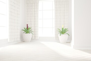 modern empty room with plant in pots and curtains interior design. 3D illustration