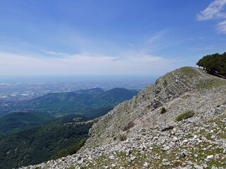 Fototapeta na wymiar suggestivo panorama dei Monti Lepini in Italia, sullo sfondo di fiori gialli