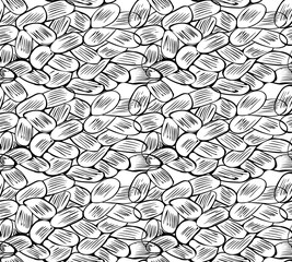 Endless texture with black contour seeds, cocoa beans on the transparent background. Vector illustration for idesign.