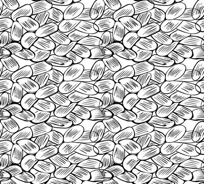 Endless texture with black contour seeds, cocoa beans on the transparent background. Vector illustration for idesign.
