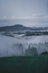 Blick auf In Nebel gehüllte Wälder am Abend