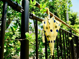 梅雨明け待ち