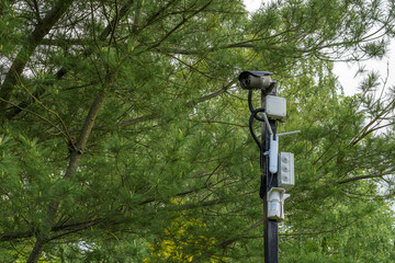 Security cameras on a pillar in a public park on background of pines trees.