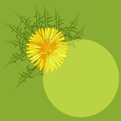 Summer design from dandelions on a green background