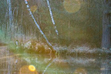 Sunrise flare at a lake