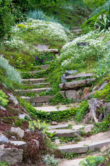 Stone stairs in the green park surrounded by  flowers