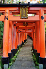 京都 伏見稲荷大社　美しい朱色の鳥居（日本京都府京都市） Kyoto Fushimi Inari Taisha Shrine famous for beautiful vermilion torii gates (Kyoto City, Kyoto Prefecture, Japan) 
