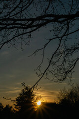 sunset behind a house in the forest