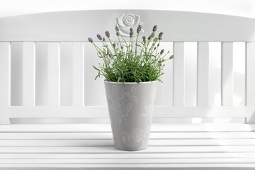 Lavender plant in ceramic pot on a white bench.