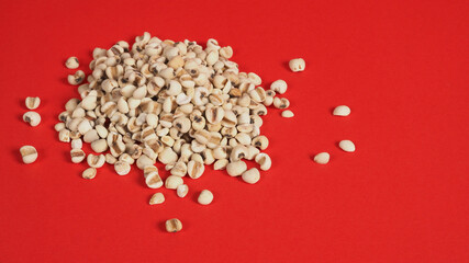 Job's Tears, also known as adlay and coix on red background. Popular in Asian cultures as a food source.