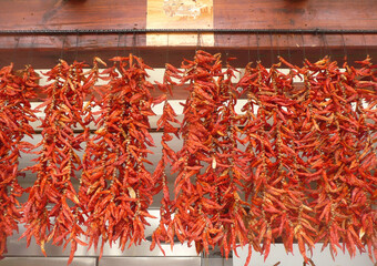 dried red hot chili peppers