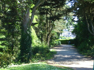 chemin