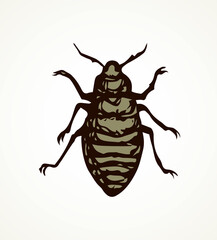 Beetle. Larva. Vector drawing
