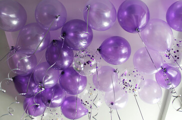 Purple, purple, and transparent confetti balloons filled with helium are flying around the ceiling. The concept of decorating a room with helium balloons for holidays or birthdays.