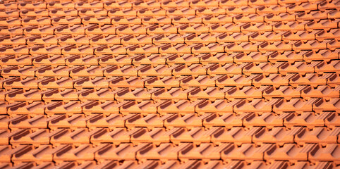 tiled roof of the house