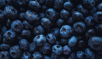 Background  of fresh blueberries