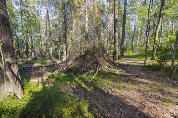 Beautiful view of hut of branches in forest. Beautiful nature backgrounds.