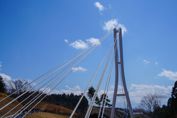 静岡県三島市の大吊り橋
