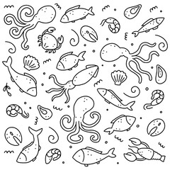 Hand drawn set of seafood elements, fish, lobster, oyster, octopus, shrimp. Doodle sketch style. Sea food element drawn by dogital pen. Vector illustration for icon, menu, recipe design.