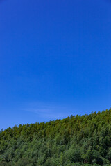 Obraz premium 真夏の青空と緑(９月)