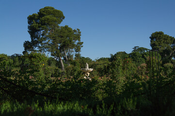 widok park drzewa niebo liście natura zieleń