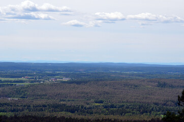 Aerial.Forest on a summer day in Central Norway. Sweden on the horizon